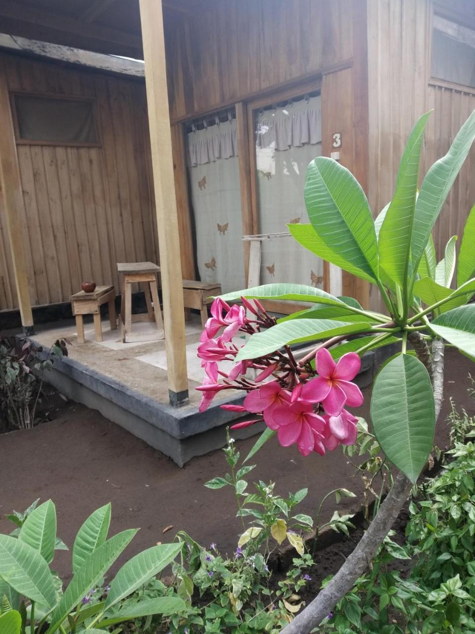 Beach Box Bungalow Gili Trawangan Exteriör bild