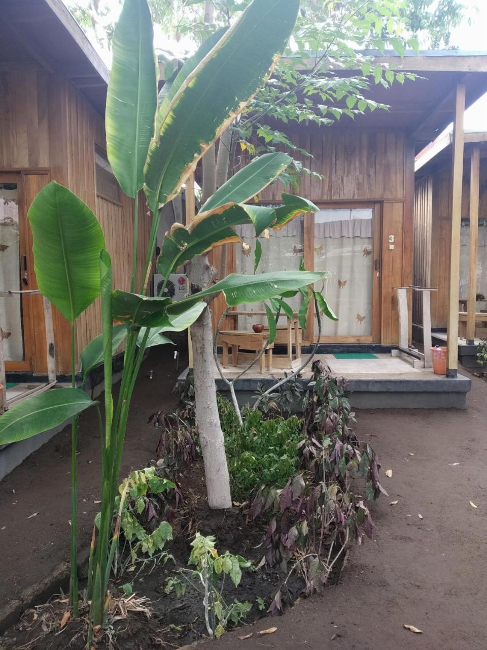 Beach Box Bungalow Gili Trawangan Exteriör bild