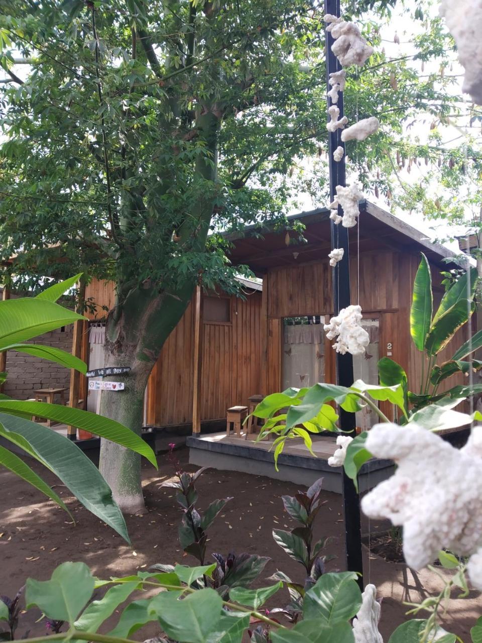 Beach Box Bungalow Gili Trawangan Exteriör bild